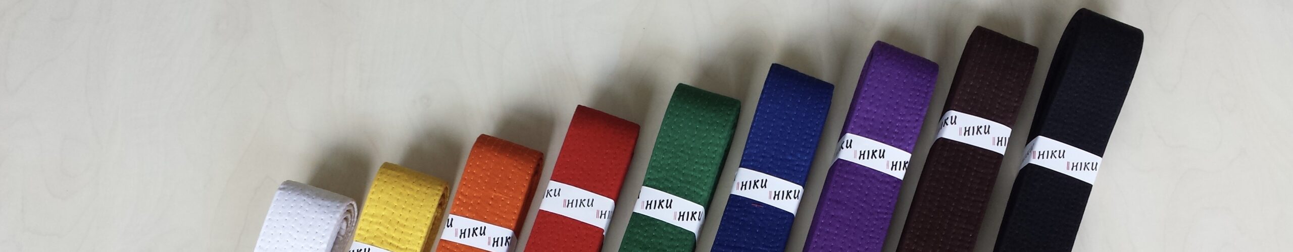 Willkommen bei karate-switzerland-suisse-schweiz